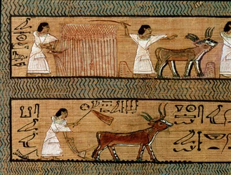 Żniwa i orka, szczegół z przedstawienia działalności rolniczej w życiu pozagrobowym, z Księgi umarłych pisarza Any, c.1250 pne