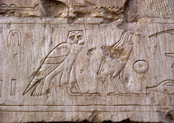 Starożytność egipska: płaskorzeźba przedstawiająca sowę i orła. Grobowiec Ankh-Hor (Ankh Hor) (TT414) (26 dynastia, 672-525 pne), Luksor (Teby), Egipt