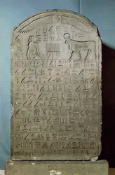 Stela upamiętniająca pochówek byka Apisa za panowania Ahmose II (Amazis) z Serapeum w Sakkarze, Epoka Późna, 547 pne (wapień)