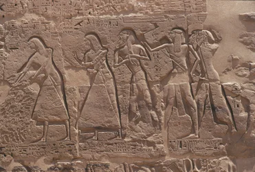 Ulga skryby i jeńca w ufortyfikowanej świątyni Ramzesa III w Medinet Habu