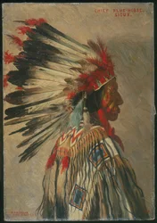 Wódz Niebieski Koń, Sioux