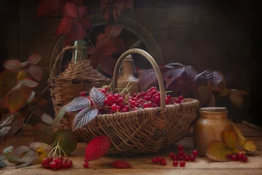 Martwa natura z jesiennymi gałązkami i jagodami kaliny szkarłatnej w stylu vintage.