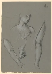 Szczegóły badań figur
