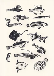 Monotone Plain Fish, 2015 (sitodruk)