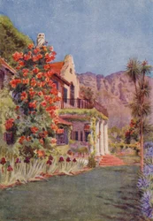 Bignonia grandiflora w Paradise, Claremont (kolorowa litografia)