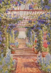 Pergola pokryta niebieskim Ipomoea Learii de Grendel, Tygerberg (kolorowa litografia)