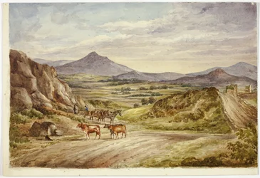 Wzgórza Wicklow