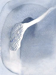 Widziałam zranione plecy Chrystusa, ale powiedziano mi: „Liczy się miłość; to grzech to uczynił”, 2001 (w/c na papierze)