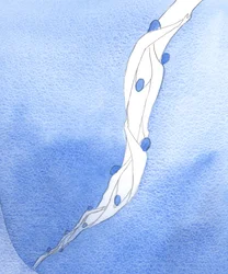 Nasze wstawiennictwo za Świętymi Duszami w Czyśćcu, w imię Jezusa, jest jak sznur, który ciągnie je do nieba, 2002 (w/c na papierze)