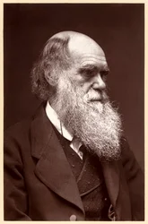 Karol Darwin: angielski przyrodnik