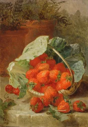 Truskawki w liściu kapusty, 1891