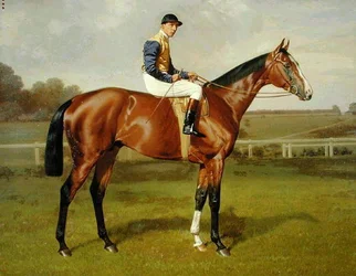 „Spearmint”, zwycięzca Derby 1906, 1906