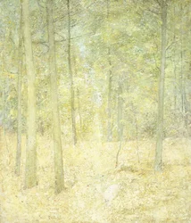 Scena leśna