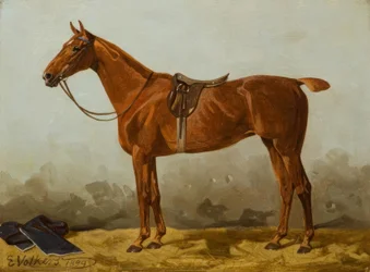 E. Volkers, Gesattelter Fuchs