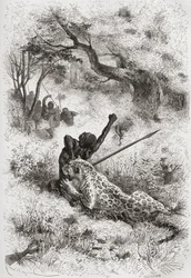 Lampart atakujący Afrykanina, ilustracja ze „Świata w rękach”, sztychowana przez Henri Theophile Hildibrand (1824-97), opublikowana w 1878 r.