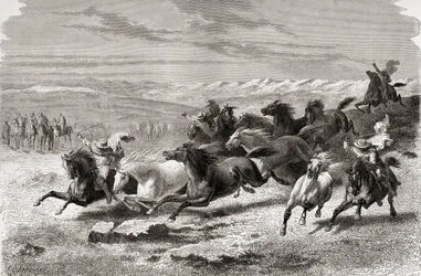 Argentyńscy gauchowie zaganiający dzikie konie, ilustracja ze „Świata w rękach”, sztychowana przez Charlesa Laplante (zm. 1903), opublikowana w 1878 r.