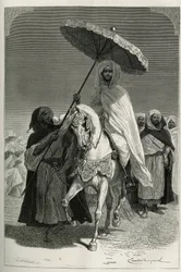 Sułtan Hassan I Maroka