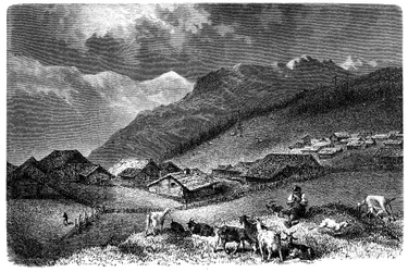 Wioska w Alpach. Murren, w Berneńskim Oberlandzie, wysokość 1630 metrów. Pasterz trzymający swoje stado kóz i owiec (owiec). Ilustracja Emile Bayarda do książki Alberta Dupaigne „Les Montagnes”, wydanie Mame 1881.