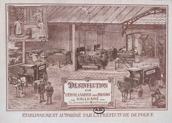 Plakat reklamujący Maszyny do dezynfekcji Steam produkcji Hallu Aine, koniec XIX wieku