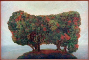 Gaj drzew nad morzem