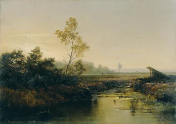 Krajobraz wrzosowiska