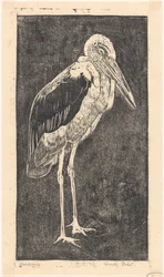 Marabut