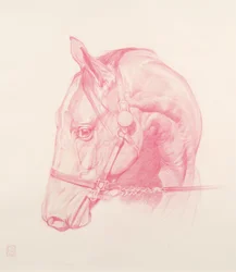 Portret głowy, 2010 (czerwona kreda na papierze)