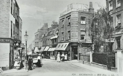 Hill Rise, Richmond: widok ogólny, 1895