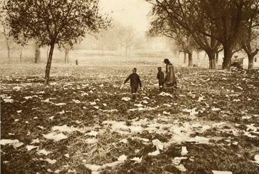 Trawa usiana śmieciami na Hampstead Heath dzień po święcie państwowym, z „Wonderful London”, opublikowanej w latach 1926-27