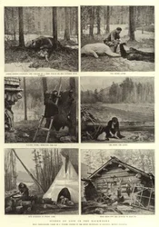 Sceny z życia w ostępach