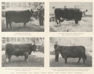 The Birmingham Fat Stock Show, Royal i inni zdobywcy nagród