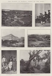 Plaga w Bombaju, Widoki na miasto