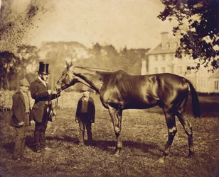 Dziki Dayrell, zwycięzca Derby w 1856 r.