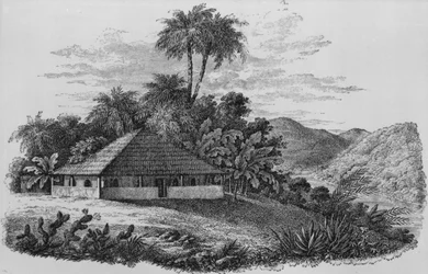 Dom plantatora w Brazylii (litografia)