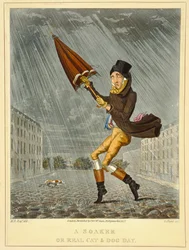 A Soaker lub Real Cat and Dog Day, grawerowane przez G. Hunta, wyd. Thomas McLean, Londyn, 1827 (kolorowa akwaforta)