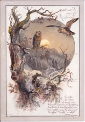 Wiktoriańska kartka bożonarodzeniowa przedstawiająca sową siedzącą na gałęzi w księżycową noc, ok. 1880 r. (kolor lito)