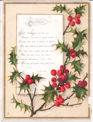 Wiktoriańska kartka bożonarodzeniowa z dużym sprayem ostrokrzewu i wersetem, ok. 1880 r.