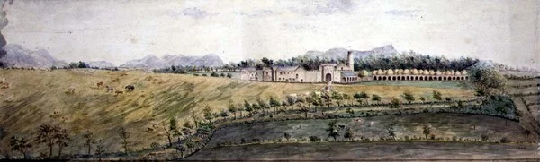 Widok w Indiach