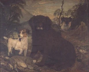 Spaniel wodny i dwa Jack Russells przy torbie dnia
