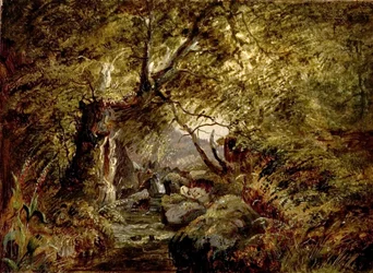 Leśny strumień
