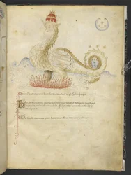 Dodaj MS 15691 