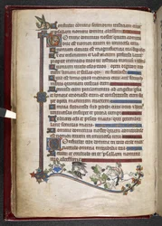 Dodaj MS 24686, f.14v, Chłopiec na kucyku z kaczką polującą na sokoła, c.1284-1316 (welum)