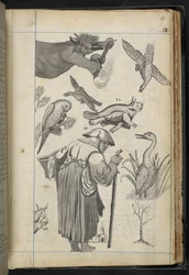 Dodaj MS 32496 f.49r Ilustracja z „Dyskursu o czarach, tak jak to miało miejsce w rodzinie pana Edwarda Fairfaxa z Fuystone” (grawerowanie)