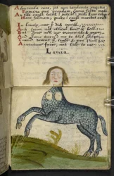 Dodaj grę MS 57312 f.13 (tusz i kolor na pergaminie)