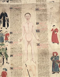 Schemat anatomiczny, z De arte phisicali e de cirugia autorstwa Johna Ardene, 1412