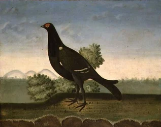 Cietrzew