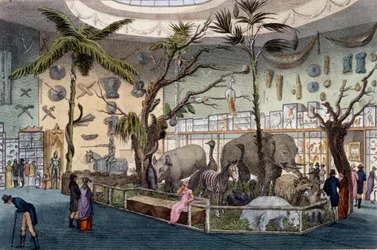 Bullocks Museum, 22 Piccadilly, Londyn, z Ackermanns Repository of Arts, 1809