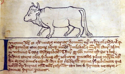 CCA-LitMs/D/10 os. 9r Bullock, z Bestiariusza