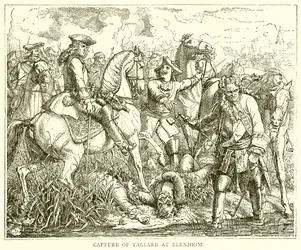 Schwytanie Tallarda w Blenheim