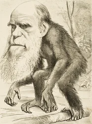 Karykatura Karola Darwina